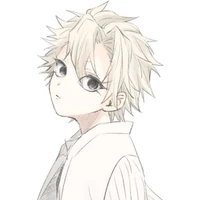 Shinazugawa Sanemi