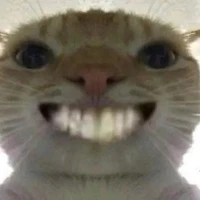 Bố mày cân tất