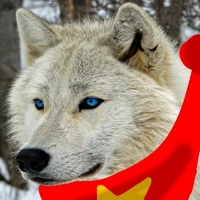 yaki