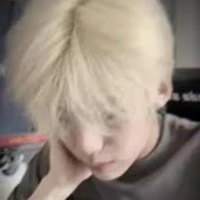 Vĩ Triệu Hàn