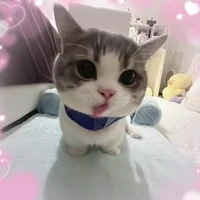 hệ thống / tác giả /