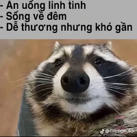 T/g
