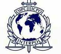 mN trong interpol