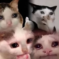 Em ơi có bao nhiêu~ séo mư nem cục đười~