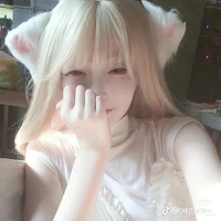 Mèo