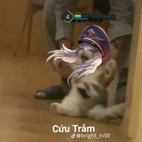 cụt cánh
