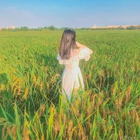 Trần Ngọc Mai