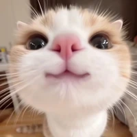 Hệ thống 0502/ Yuu