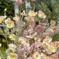 Nhân vật quần chúng _ nữ