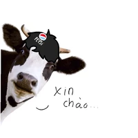 all giới tính🤡