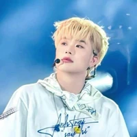 Trần Đăng Dương "Dương Domic"