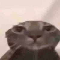 All (Trừ những người cần trừ)