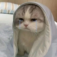 Tác giả