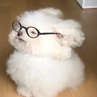 ❥ ʜᴀᴄ ᴛᴀᴍ ʙᴀɴɢ ᴄʜᴜ. - ᴄʜᴏs.