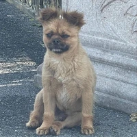 TIÊN MÔN BÁCH GIA