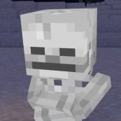 Skelly