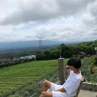 phùng anh huy