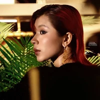 Đồng Ánh Quỳnh