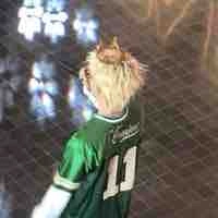 Cá Vợ đu Allrhyder 🐳