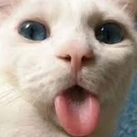 -mọi ng- (trừ ai cũng đc)