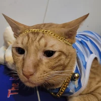 Tác giả đâyy