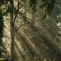 Nhân vật bí ẩn