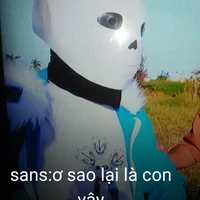 sans