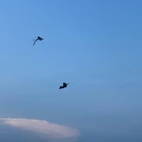 ？？？