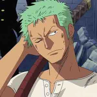 Roronoa ( Zoro )