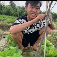 tgia lười s1 thgi