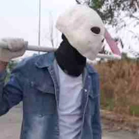 Lost Sans 