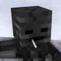 Wither_anh