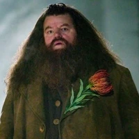 bác Hagrid