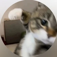 T/g