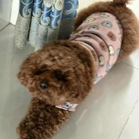 nhỏ tác giả nek