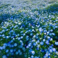 T/G 2 SUSU LẠNH LÙNG❄️💙