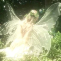 Hệ Thống Angel 