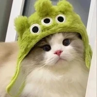 Tác giả cute