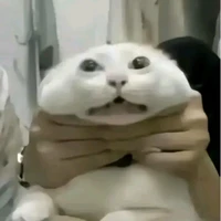 hệ thống cl