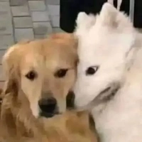 Tất cả trừ ai cần trừ