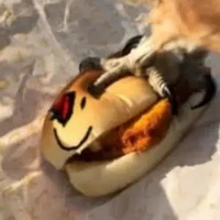 John doe [ John dough]