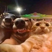 hạt dẻ not nùi dẻ:)))))