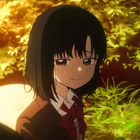 Minamoto Hozi
