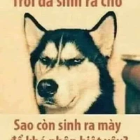 để nói 6