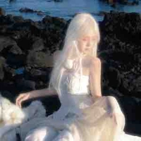 châu ngọc tiên(Y/n)