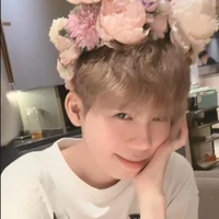 Phoenix - Nguyễn Hữu Đạt