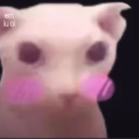 tác giả