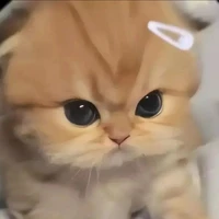 tác giả 