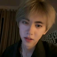 Lưu Hiên Thừa