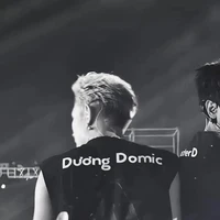 dương domic